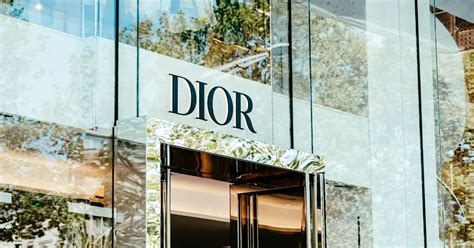 which dior bag is the best investment|best dior purses.